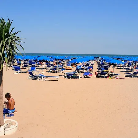 Aurora * 이솔라 알바렐라