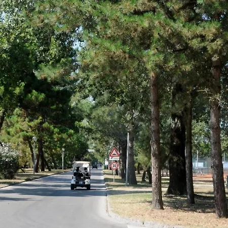 Aurora 이솔라 알바렐라