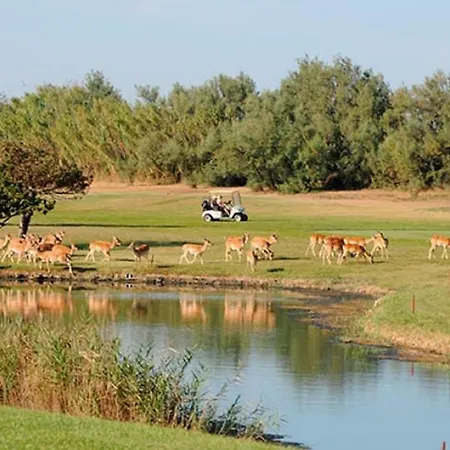 Aurora * Albarella Island