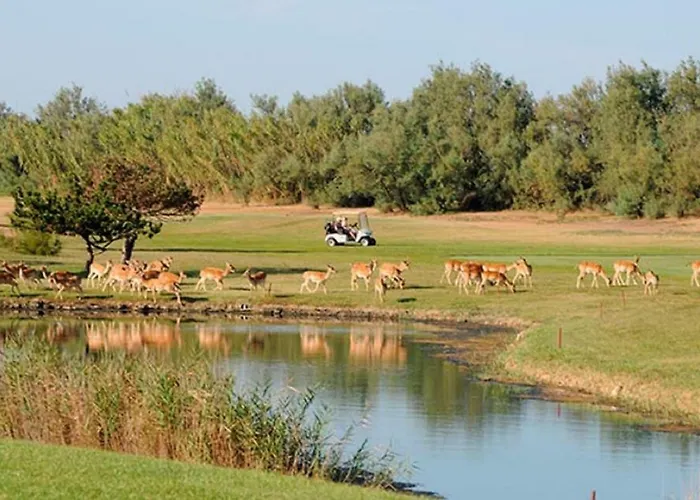 Aurora * Albarella Island